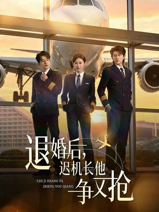 退婚后，迟机长他争又抢海报
