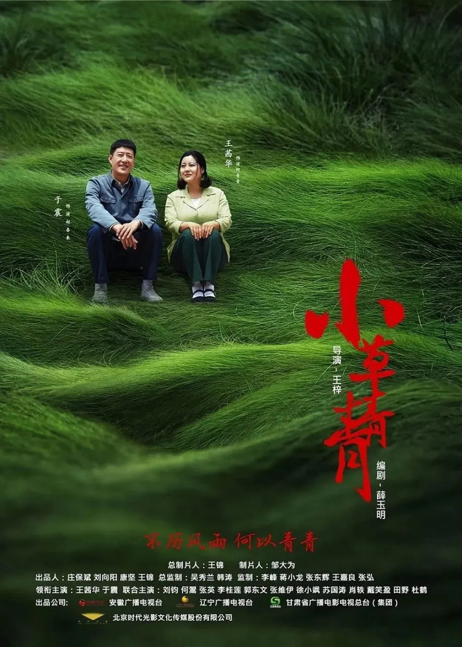 小草青青海报