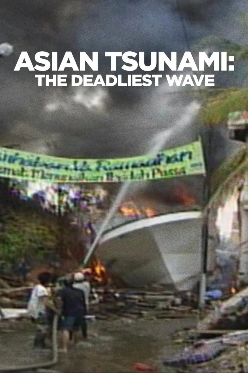 亚洲海啸：死亡之浪海报