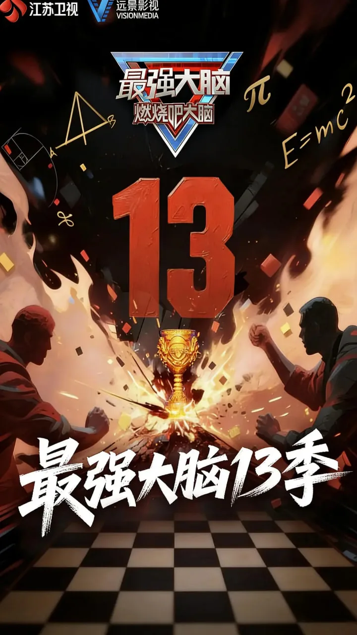 最强大脑 第十三季海报