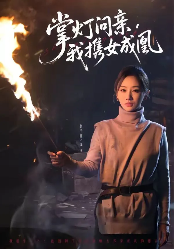掌灯问亲，我携女成凰海报