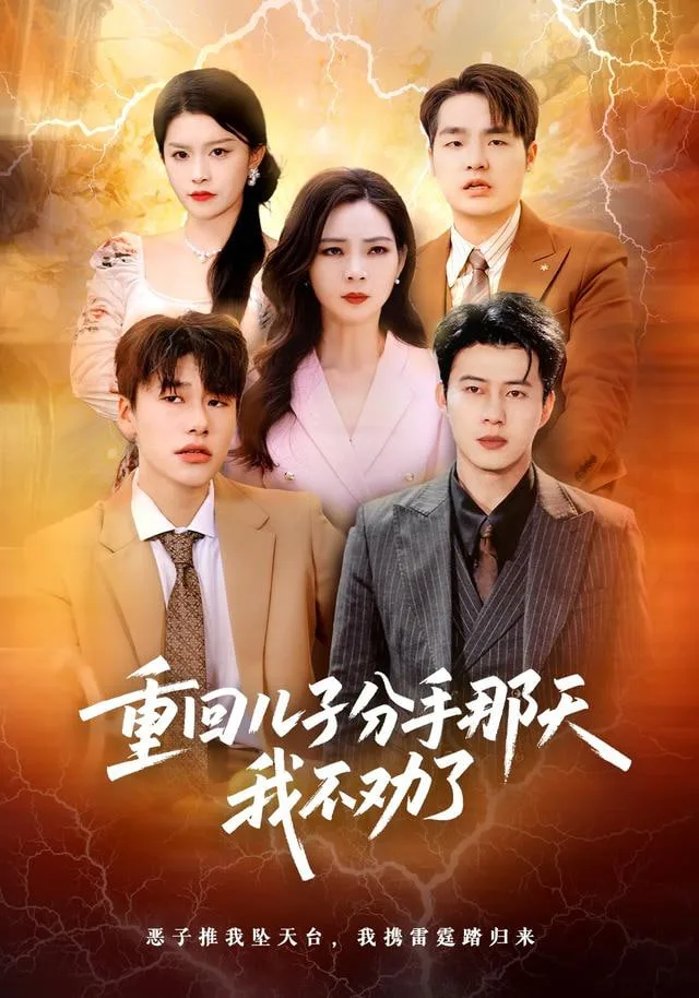 重回儿子分手那天，我不劝了海报