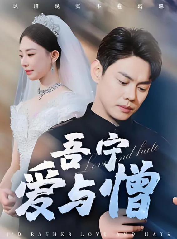 吾宁爱与憎海报